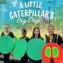 Who knew teachers could make such a wonderful caterpillar? 이미지