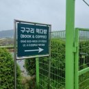 구구리 네이버블로그
