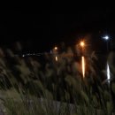 신수도 대구동 이미지