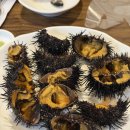 [인천 만수동 맛집] 성게알(우니) 매니아들의 숨은 성지, '용기포횟집' 솔직 후기!