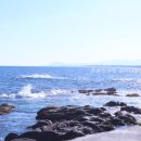 금바다횟집 - 남구 삼산로308번길 5-11 | 금바다횟집