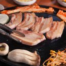 논산시청 티스토리
