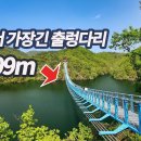 4월12일 개통/국내에서 가장 긴 309m 출렁다리/1km 메타세쿼이아 길/드디어 호수 둘레길 전구간 개통 이미지