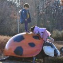 불암산나비정원 이미지