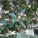 개포4-106 이미지