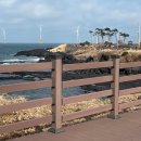 MBC | 2026 MBC 제주국제평화마라톤 10km 후기