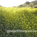 사등면 성포중학교 (주)거제타임즈
