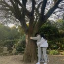 스튜디오 무료 촬영과 제주도 무료 여행 이벤트│늦은 후기 껄껄
