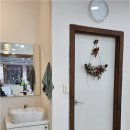 완월동221 이미지