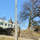 만경읍사무소 이미지