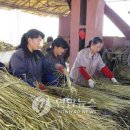 증산농장 네이버블로그