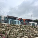 블루웨일 빌리지 이미지