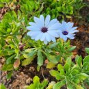 소요파출소 화장실 이미지