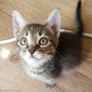 남매목장 이미지