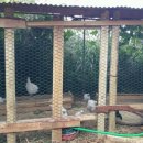 담안농장 이미지