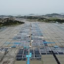 흑산 최익현유적지 이미지