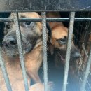 응수농장 이미지