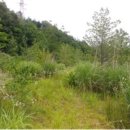 고단보건진료소 이미지