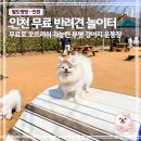 덕수공원반려견놀이터 | 인천 반려견 놀이터 원적산공원 무료 강아지 운동장 후기