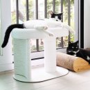 디자인바이펫 | 네이버 펫 바우처로 두잇 고양이 스크래쳐 캐르테논 득템한 건