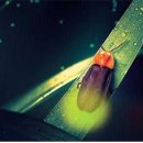 고성공룡나라(통영)휴게소 이미지