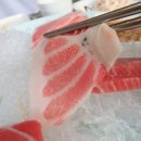 진참치본점 이미지