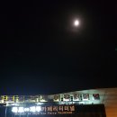 피닉스게임장 이미지