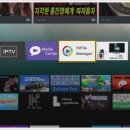 다이노 미디어 이미지
