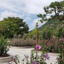 동산축산 이미지