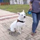 동물농장 - 양산시 양산역로 85 | 동물농장