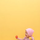 스튜디오 홍시 Daum카페