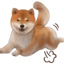 천지동물병원 이미지