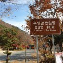 일성무주콘도미니엄 이미지