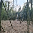 삼호부분정비 이미지