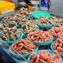 새벽을 여는 사람들 | 삼척 번개시장 오징어회 한 접시 만 원 | 새벽 7시 방문 9접시 득템 성공 후기