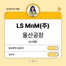 엘에스엠앤엠(주)