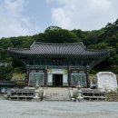 케이스나무 | 양평 가볼 만한 곳 용문사 1200년 은행나무 힐링 여행 후기
