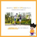 안성 하늘태권도 이미지
