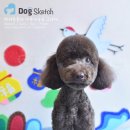 Happy 애견샵 이미지