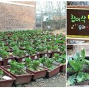 성일중학교 이미지