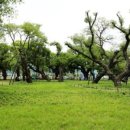 성주 별고을길 2코스 이미지