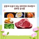 지혜로운건강생활