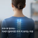 에스앤피이바른자세척추운동마곡나루 | 마곡나루 필라테스, 자세가 달라지면 키가 커 보이는 이유