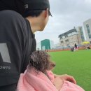 족도리김포통진점 | [김포 통진 ] 500평규모의 운동장 & 수영장 | 꼬똥이네
