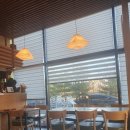 일산 중산동 스시모모 점심메뉴 특초밥 후기