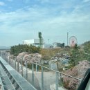 씨유 월미놀이공원 | 인천 월미바다열차 후기 | 아이와 가볼만한곳, 벚꽃 시즌 탑승 꿀팁