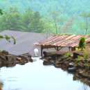 풀잎향기 이미지