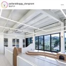 폴앤도기 동남캠퍼스 이미지