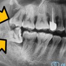 이하루치과의원 이미지