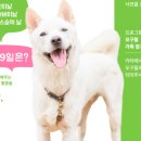 오구오구 이미지